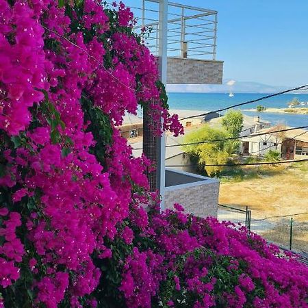 Begonvil Otel Çeşme Extérieur photo